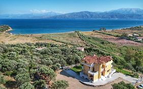 Majestic View Resort
